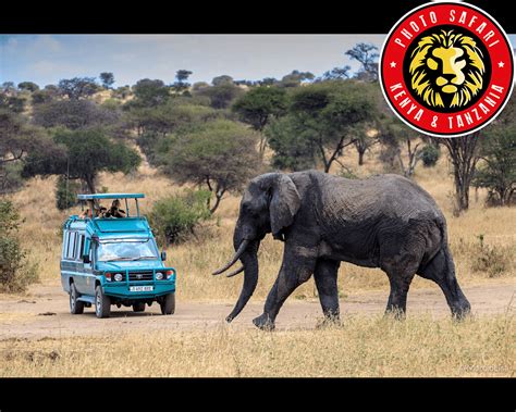 Safari Na África Valor - Pacotes de Viagem, Safaris e Turismo na África - Photo Safari Expedições