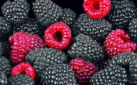 Les bienfaits de la framboise et de la mûre Recettes et Terroirs