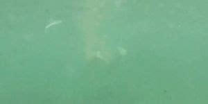 Naked Woman Underwater Tnaflix