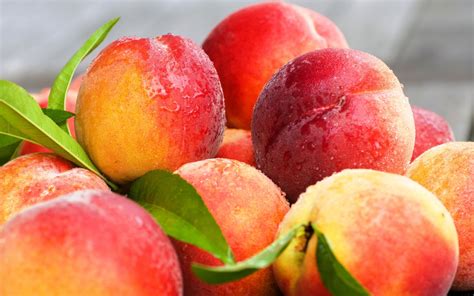 Lovely Peaches Wallpapers - Wallpaper Cave