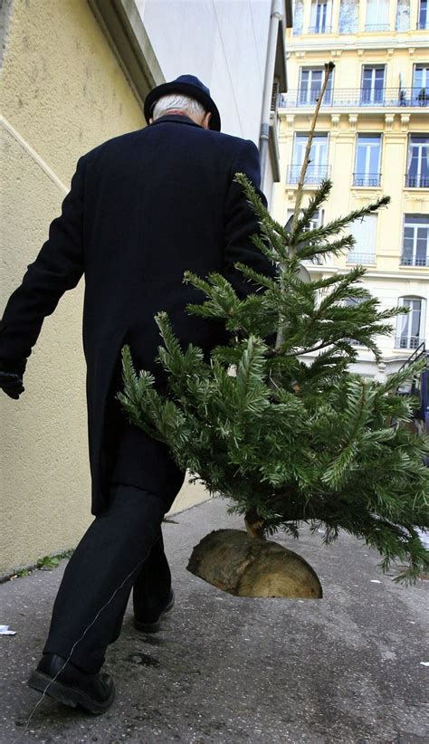 Rhône Sainte Foy lès Lyon recyclez votre sapin jusquau 16 janvier