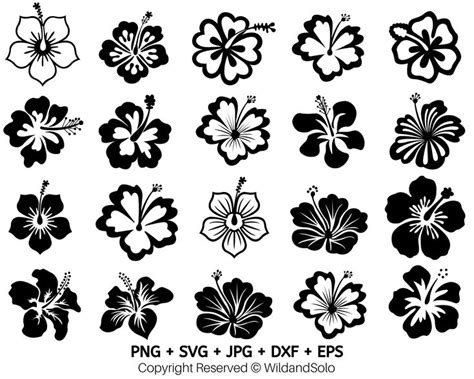 20 Hawaii Hibiscus Flower Svg Bundle Hawaiian Flower Svg Flowers