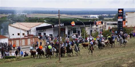 Valladolid Las Im Genes De Los Toros Que Se Han Escapado Del Encierro