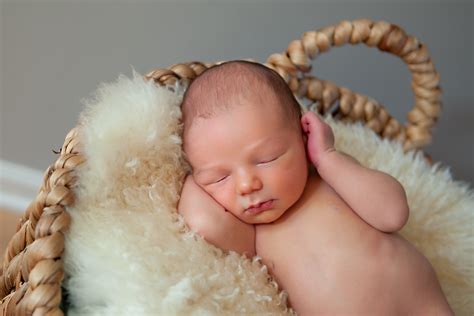 Bellies Babies The Business Of Maternity And Newb 5