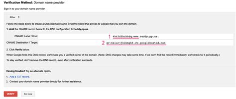 cname record  domain verification  google services