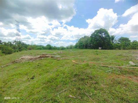 300 Sqm Farm Lot For Sale In Esperanza Ibaba Alfonso ALL IN Transfer