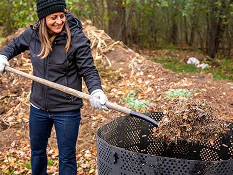 10 Fall Yard Cleanup Tasks And The Best Lawn Care Products