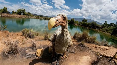19 Species Lost Forever Due To Human Impact
