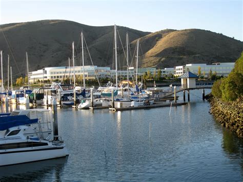 Walking San Francisco Bay Oyster Pt To Oyster Cove Marina Nov 18 09