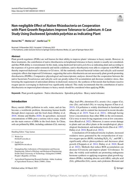 Non Negligible Effect Of Native Rhizobacteria On Cooperation With Plant