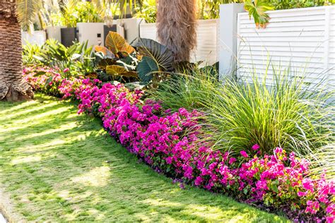 What Is Tropical Landscaping