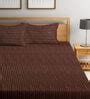 Buy Brown Striped 280 TC Cotton Blend Queen Sized Bed Sheets With 2