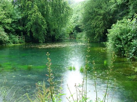 The Silent Pool, Surrey | Surrey, Places to go, Beautiful places