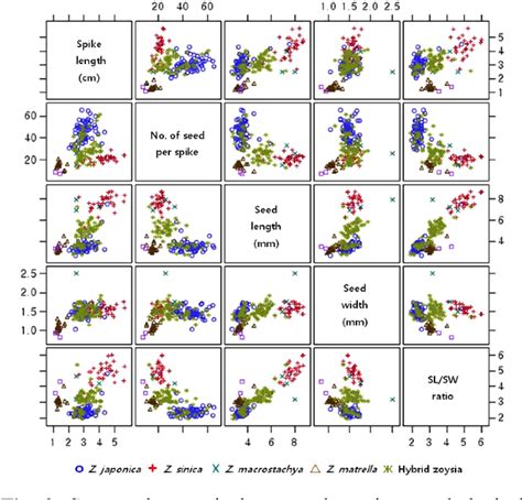 Figure From Characteristics Of Seed Variation Of Zoysiagrasses