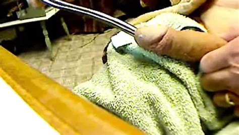 Sounding Using A Tail Comb Free Using Porn Ea XHamster