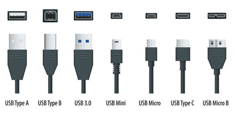 CuÃ¡les Son Los Tipos De Puertos Para Conectores Usb Ripo