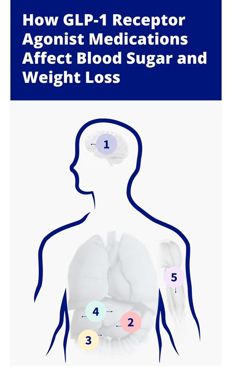 The Real Me TRiM Clinic - Understanding GLP-1 Agonists for Weight Loss