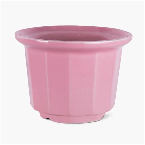 photo pink plant pot  home decor