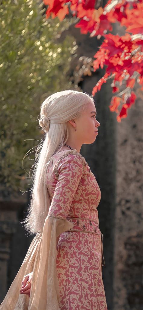 Rhaenyra Targaryen Mãe Dos Dragões Ideias Fotografia Penteados