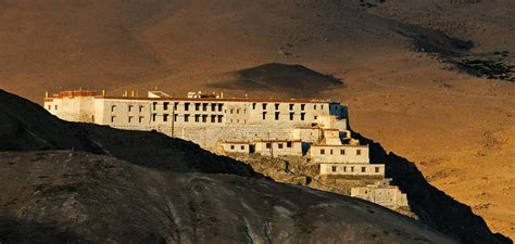 Capturing The Birds And Animals Of Ladakh