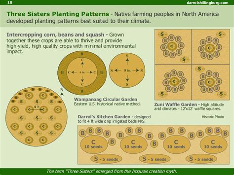 sisters planting diagram