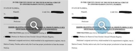 Sexual Offender Vs Sexual Predator In Florida Florida Minor Sex Offense Lawyer