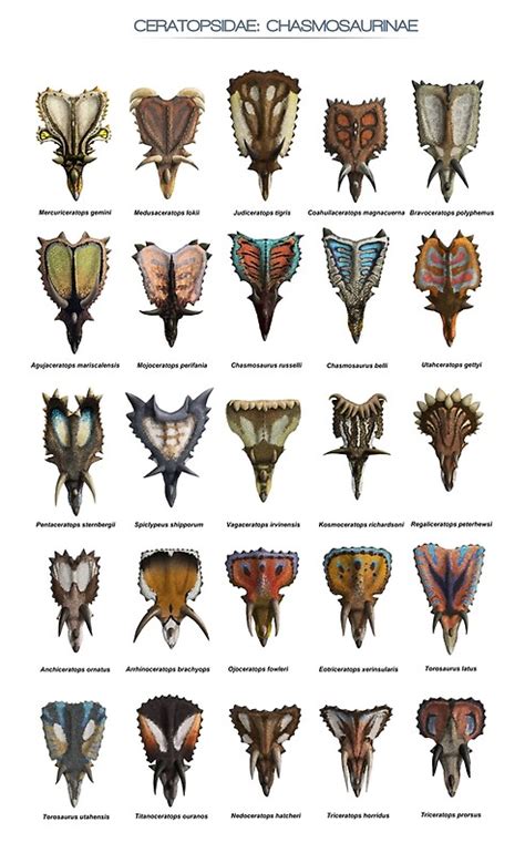 "Front view of ceratopsid heads" Posters by SerpenIllus | Redbubble