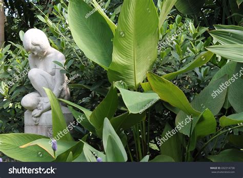 Nude Girl Statue Garden Stock Photo 692314738 Shutterstock