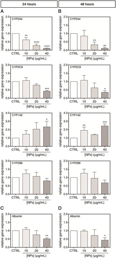 Polycarbonate nanoplastics and the in vitro assessment of their ...