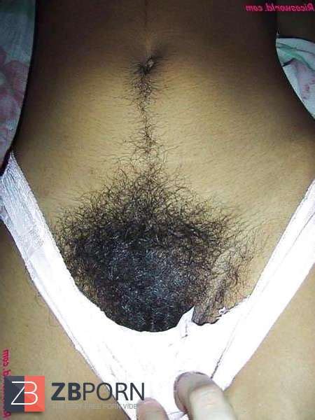 Eu Amo Bucetas Cabeludas ZB Porn