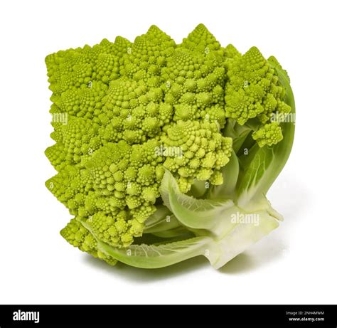 Romanesco Broccoli Isolated On White Background Stock Photo Alamy