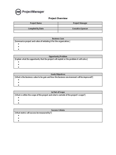 project overview template projectmanager