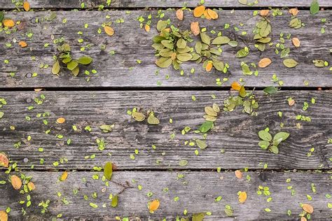 deck din lemn ferestre usi obloane lemn stratificat