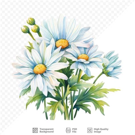 Um Desenho De Uma Flor Em Um Fundo Transparente Psd Premium