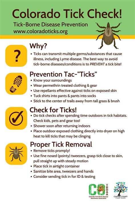 Colorado Tick Borne Disease Awareness Association Cotbdaa Education