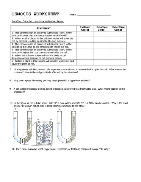 30 Osmosis And Diffusion Practice Worksheet Answers Support Worksheet