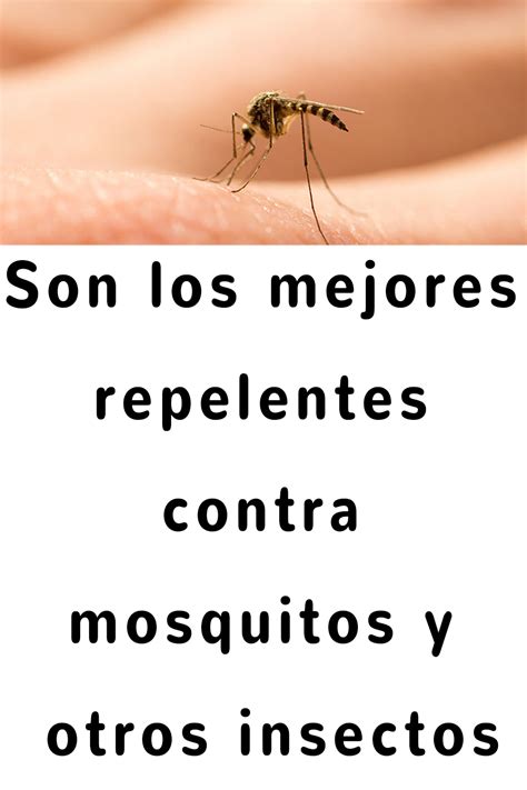 Son Los Mejores Repelentes Contra Mosquitos Y Otros Insectos Artofit