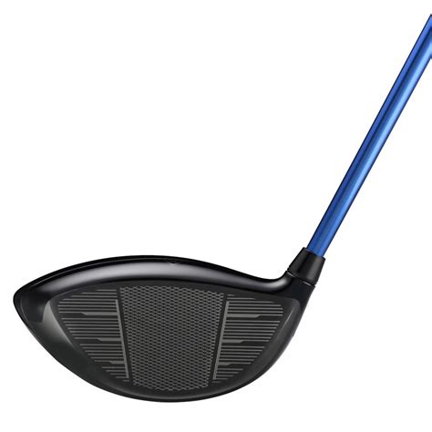 tw dr vizard blue    honmaalpen