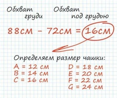 Как узнать размер лифчика - 80 фото