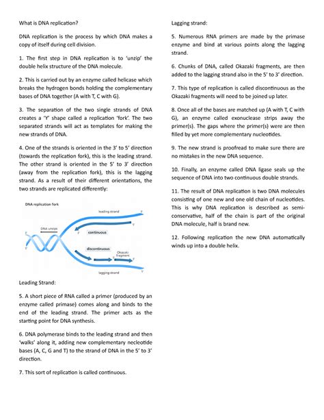 What Is Dna Lecture Notes What Is Dna Replication Dna