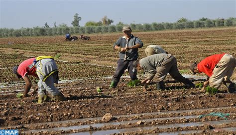 Campagne agricole 2020 2021 une bonne évolution et de bonnes