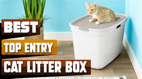 Best Top Entry Cat Litter Box In 2024 Top 10 Top Entry Cat Litter