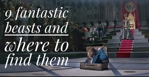 9 Magical Creatures in the Fantastic Beasts Movie