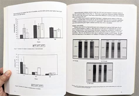 ULTRAVIOLET RADIATION AND CORAL REEFS 1995 Workshop / Symposium