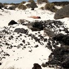 Yara Nude Leaks 2025 Fapopedia