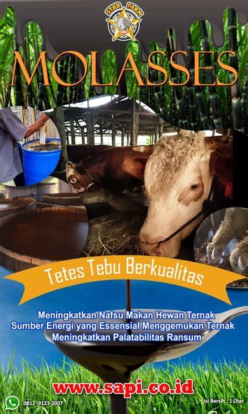 Jual Produk Bahan Pakan Ternak Kemasan 1kg Termurah Dan Terlengkap