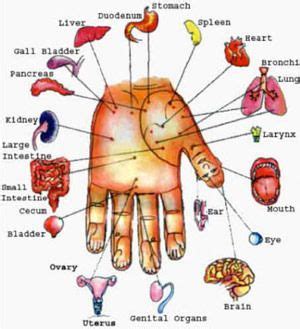 acupuncture sujok charts savasathaya thakhabhal upakaranae  hyderabad