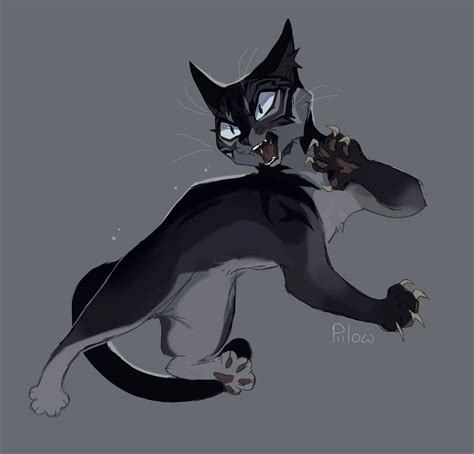 Graypillow Warrior Cats Art Warrior Cat Drawings Warrior Cats