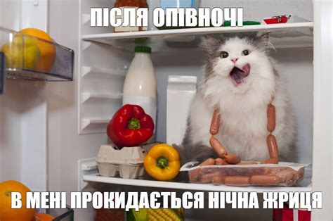 Создать мем "кот, кошки, умный холодильник" - Картинки - Meme-arsenal.com