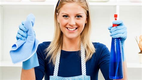 Naked Cleaner Paid An Hour Wisetradesmen